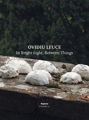 Ovidiu Leuce. In bright light, between things. Ediz. italiana e inglese
