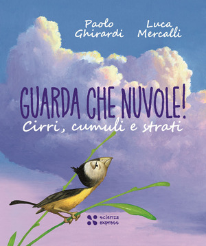 Guarda che nuvole. Ediz. a colori