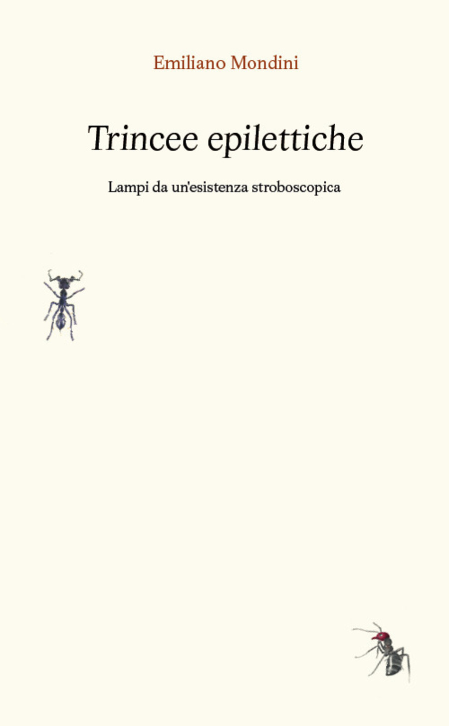 Trincee epilettiche. Lampi da un'esistenza stroboscopica