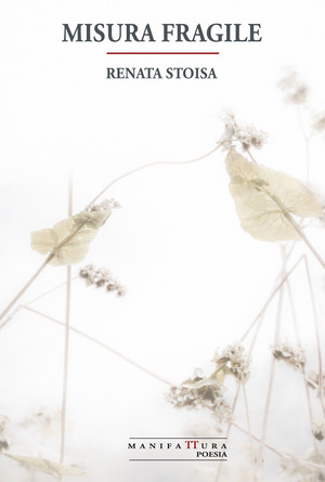 Misura fragile