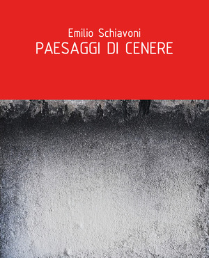 Paesaggi di cenere