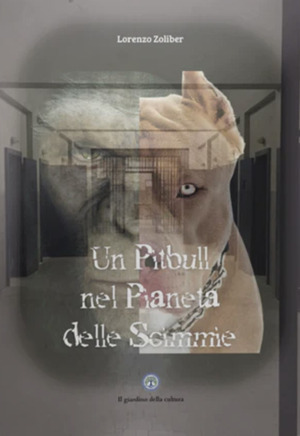 Un pitbull nel pianeta delle scimmie