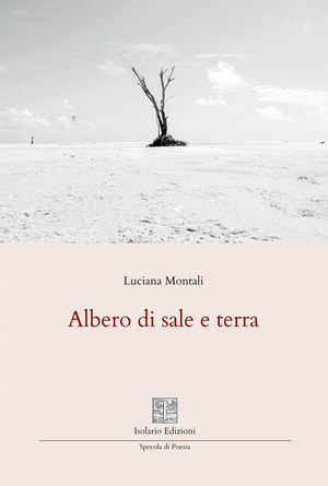 Albero di sale e terra